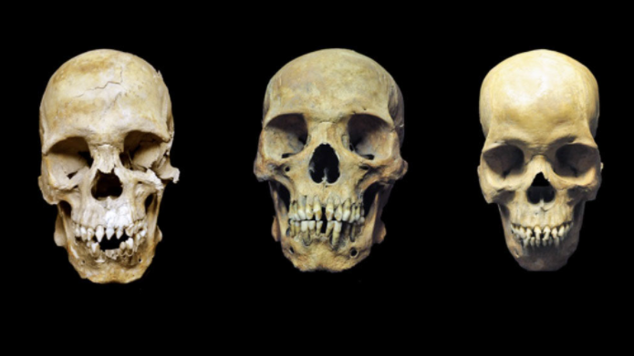 Gabon Finds Skull With Facial Changes Of 500 Years Ago